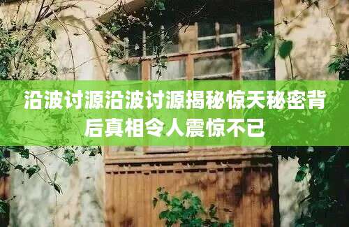 沿波讨源沿波讨源揭秘惊天秘密背后真相令人震惊不已