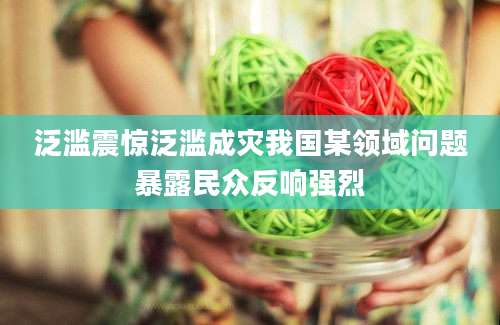 泛滥震惊泛滥成灾我国某领域问题暴露民众反响强烈