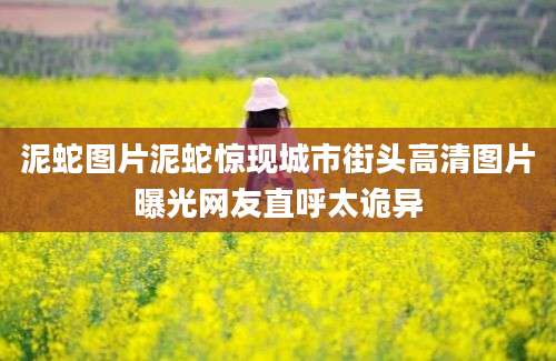 泥蛇图片泥蛇惊现城市街头高清图片曝光网友直呼太诡异