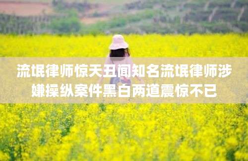 流氓律师惊天丑闻知名流氓律师涉嫌操纵案件黑白两道震惊不已