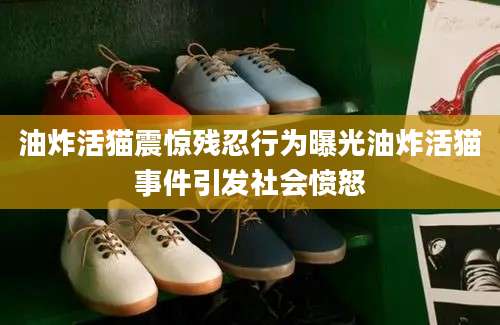 油炸活猫震惊残忍行为曝光油炸活猫事件引发社会愤怒