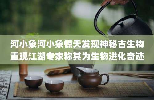 河小象河小象惊天发现神秘古生物重现江湖专家称其为生物进化奇迹