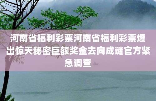河南省福利彩票河南省福利彩票爆出惊天秘密巨额奖金去向成谜官方紧急调查