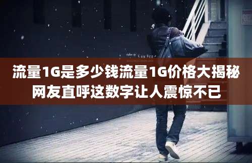 流量1G是多少钱流量1G价格大揭秘网友直呼这数字让人震惊不已