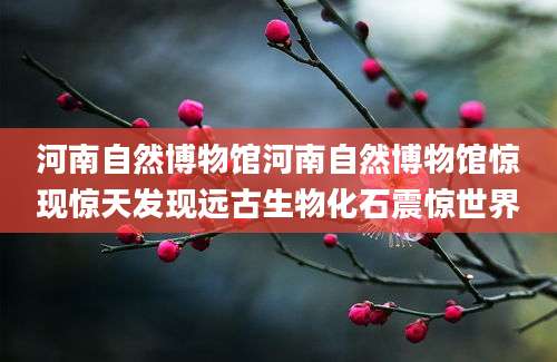 河南自然博物馆河南自然博物馆惊现惊天发现远古生物化石震惊世界