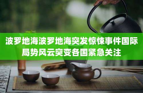 波罗地海波罗地海突发惊悚事件国际局势风云突变各国紧急关注