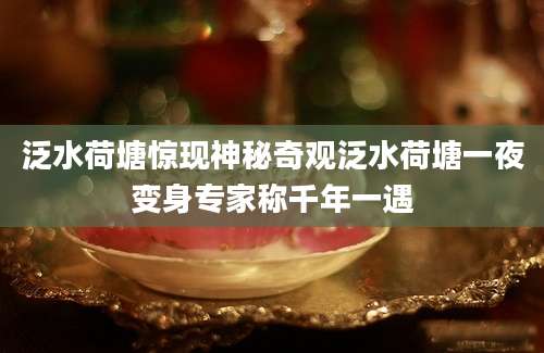 泛水荷塘惊现神秘奇观泛水荷塘一夜变身专家称千年一遇