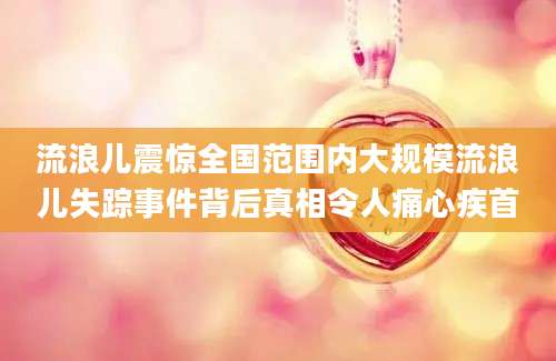 流浪儿震惊全国范围内大规模流浪儿失踪事件背后真相令人痛心疾首