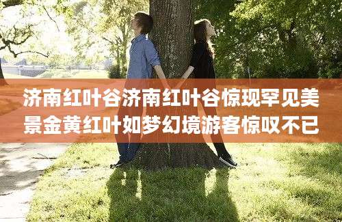 济南红叶谷济南红叶谷惊现罕见美景金黄红叶如梦幻境游客惊叹不已