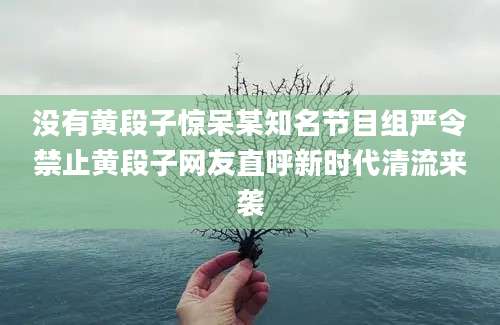 没有黄段子惊呆某知名节目组严令禁止黄段子网友直呼新时代清流来袭