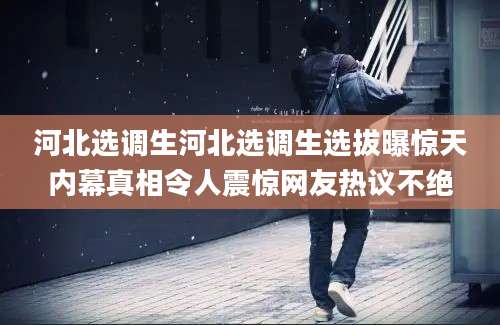 河北选调生河北选调生选拔曝惊天内幕真相令人震惊网友热议不绝
