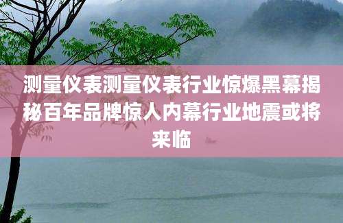 测量仪表测量仪表行业惊爆黑幕揭秘百年品牌惊人内幕行业地震或将来临