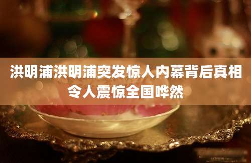 洪明浦洪明浦突发惊人内幕背后真相令人震惊全国哗然