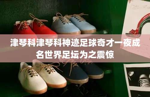 津琴科津琴科神迹足球奇才一夜成名世界足坛为之震惊