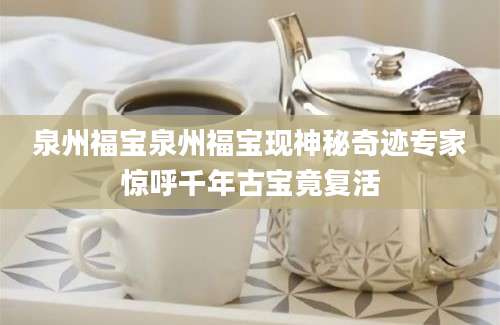 泉州福宝泉州福宝现神秘奇迹专家惊呼千年古宝竟复活