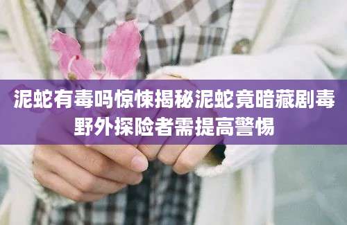 泥蛇有毒吗惊悚揭秘泥蛇竟暗藏剧毒野外探险者需提高警惕