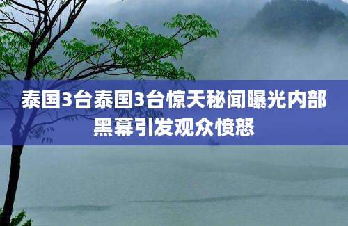 泰国3台泰国3台惊天秘闻曝光内部黑幕引发观众愤怒