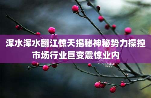 浑水浑水翻江惊天揭秘神秘势力操控市场行业巨变震惊业内