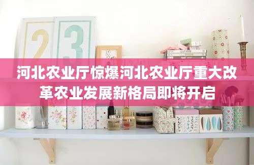 河北农业厅惊爆河北农业厅重大改革农业发展新格局即将开启