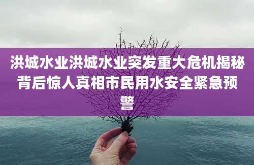 洪城水业洪城水业突发重大危机揭秘背后惊人真相市民用水安全紧急预警