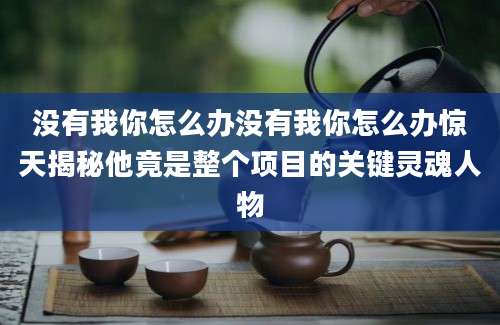 没有我你怎么办没有我你怎么办惊天揭秘他竟是整个项目的关键灵魂人物