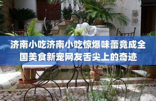 济南小吃济南小吃惊爆味蕾竟成全国美食新宠网友舌尖上的奇迹