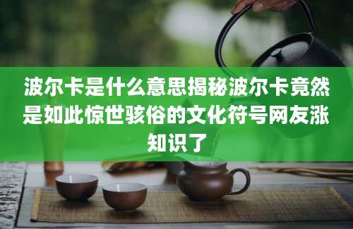 波尔卡是什么意思揭秘波尔卡竟然是如此惊世骇俗的文化符号网友涨知识了