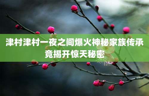 津村津村一夜之间爆火神秘家族传承竟揭开惊天秘密