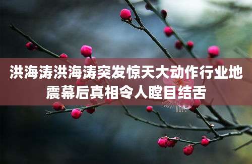 洪海涛洪海涛突发惊天大动作行业地震幕后真相令人瞠目结舌
