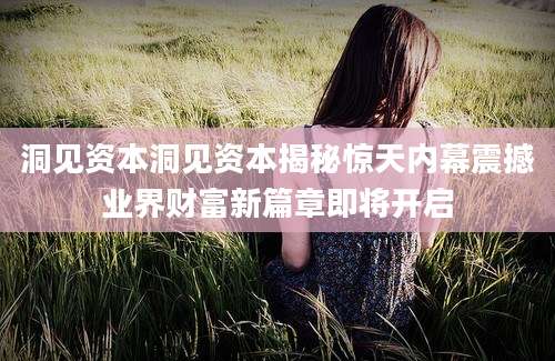 洞见资本洞见资本揭秘惊天内幕震撼业界财富新篇章即将开启