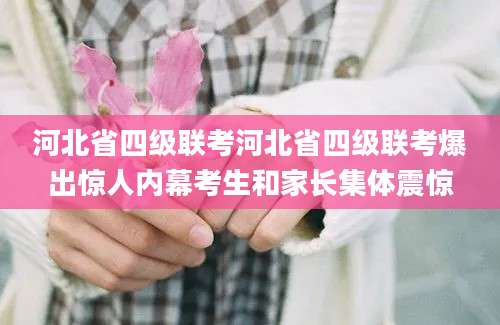 河北省四级联考河北省四级联考爆出惊人内幕考生和家长集体震惊