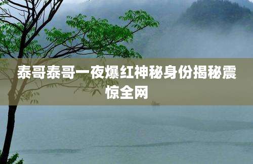 泰哥泰哥一夜爆红神秘身份揭秘震惊全网