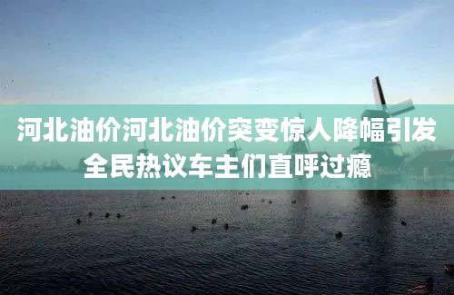 河北油价河北油价突变惊人降幅引发全民热议车主们直呼过瘾
