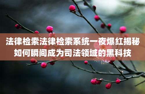 法律检索法律检索系统一夜爆红揭秘如何瞬间成为司法领域的黑科技