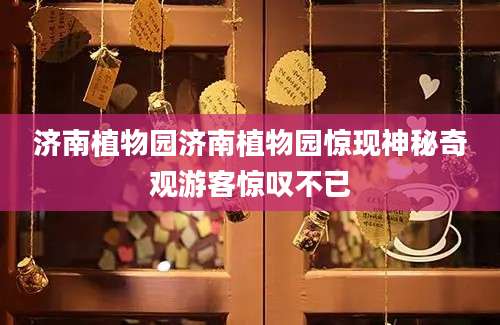 济南植物园济南植物园惊现神秘奇观游客惊叹不已