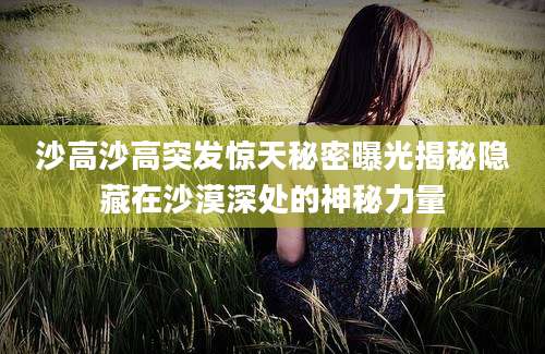 沙高沙高突发惊天秘密曝光揭秘隐藏在沙漠深处的神秘力量