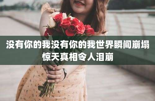 没有你的我没有你的我世界瞬间崩塌惊天真相令人泪崩