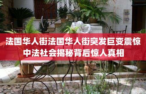 法国华人街法国华人街突发巨变震惊中法社会揭秘背后惊人真相