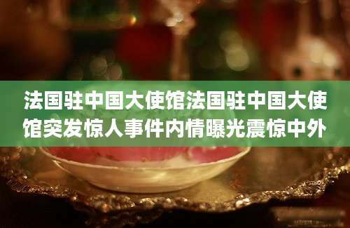 法国驻中国大使馆法国驻中国大使馆突发惊人事件内情曝光震惊中外