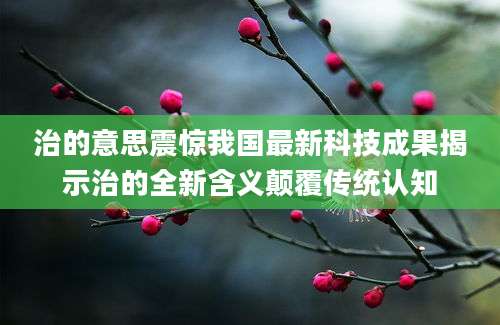 治的意思震惊我国最新科技成果揭示治的全新含义颠覆传统认知