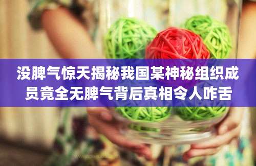 没脾气惊天揭秘我国某神秘组织成员竟全无脾气背后真相令人咋舌