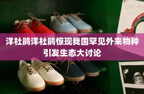 洋杜鹃洋杜鹃惊现我国罕见外来物种引发生态大讨论