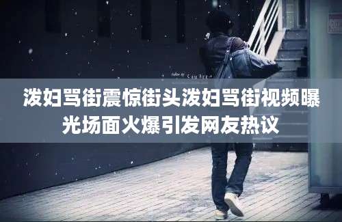 泼妇骂街震惊街头泼妇骂街视频曝光场面火爆引发网友热议