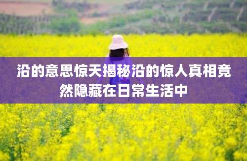 沿的意思惊天揭秘沿的惊人真相竟然隐藏在日常生活中