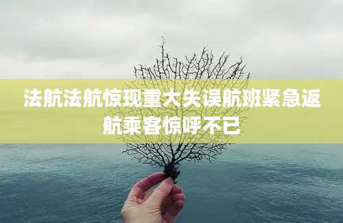 法航法航惊现重大失误航班紧急返航乘客惊呼不已