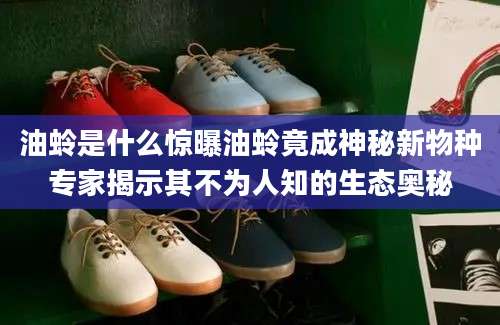 油蛉是什么惊曝油蛉竟成神秘新物种专家揭示其不为人知的生态奥秘