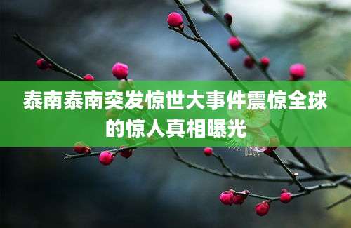 泰南泰南突发惊世大事件震惊全球的惊人真相曝光