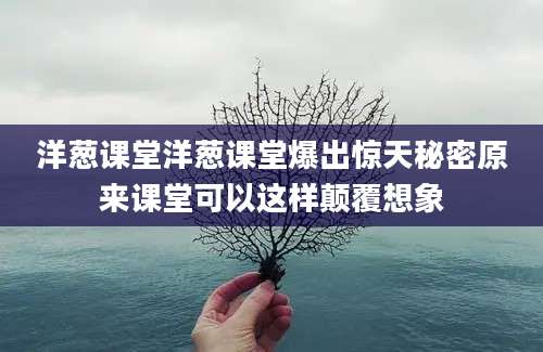 洋葱课堂洋葱课堂爆出惊天秘密原来课堂可以这样颠覆想象