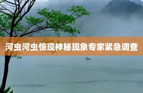 河虫河虫惊现神秘现象专家紧急调查