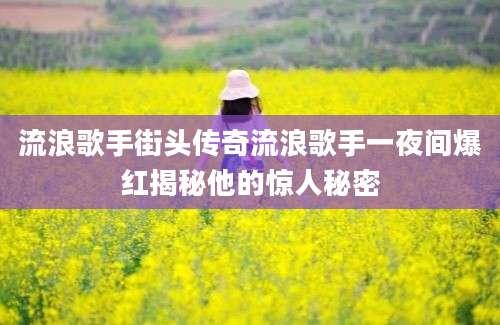 流浪歌手街头传奇流浪歌手一夜间爆红揭秘他的惊人秘密